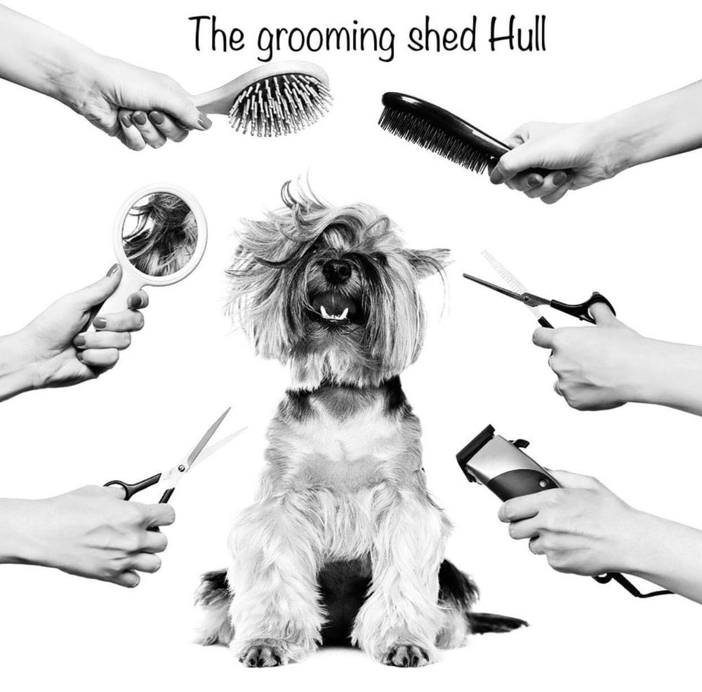 THE GROOMING SHED HULL Brooklands Road, Hull, United Kingdom Pet Groomers Phone Number Yelp