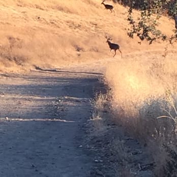Almaden-Quiksilver Trail - Hiking Near Me Almaden-Quiksilver Trail - Hiking Near Me