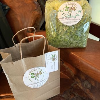 Tampa Bay Sprouting - Fresh micro greens Ready for delivery - Specialty Food Near Me - Kenneth City, Florida Tampa Bay Sprouting - Fresh micro greens Ready for delivery - Specialty Food Near Me - Kenneth City, Florida