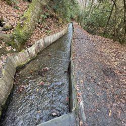 Mingus Mill