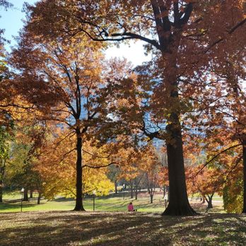 Boston Common - Parks Near Me - Boston, Massachusetts Boston Common - Parks Near Me - Boston, Massachusetts