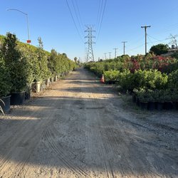 Fuku Bonsai Nursery - Dirt road entrance