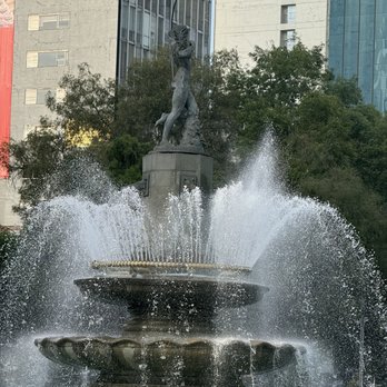 Capital Bus - Bus Tours Near Me - Ciudad de México, DIF