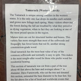 Wallace District Mining Museum - Oldest tree info - Museums Near Me - Wallace, Idaho Wallace District Mining Museum - Oldest tree info - Museums Near Me - Wallace, Idaho