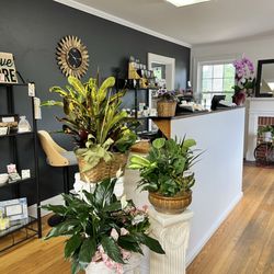 Whitfield's Flowers & More