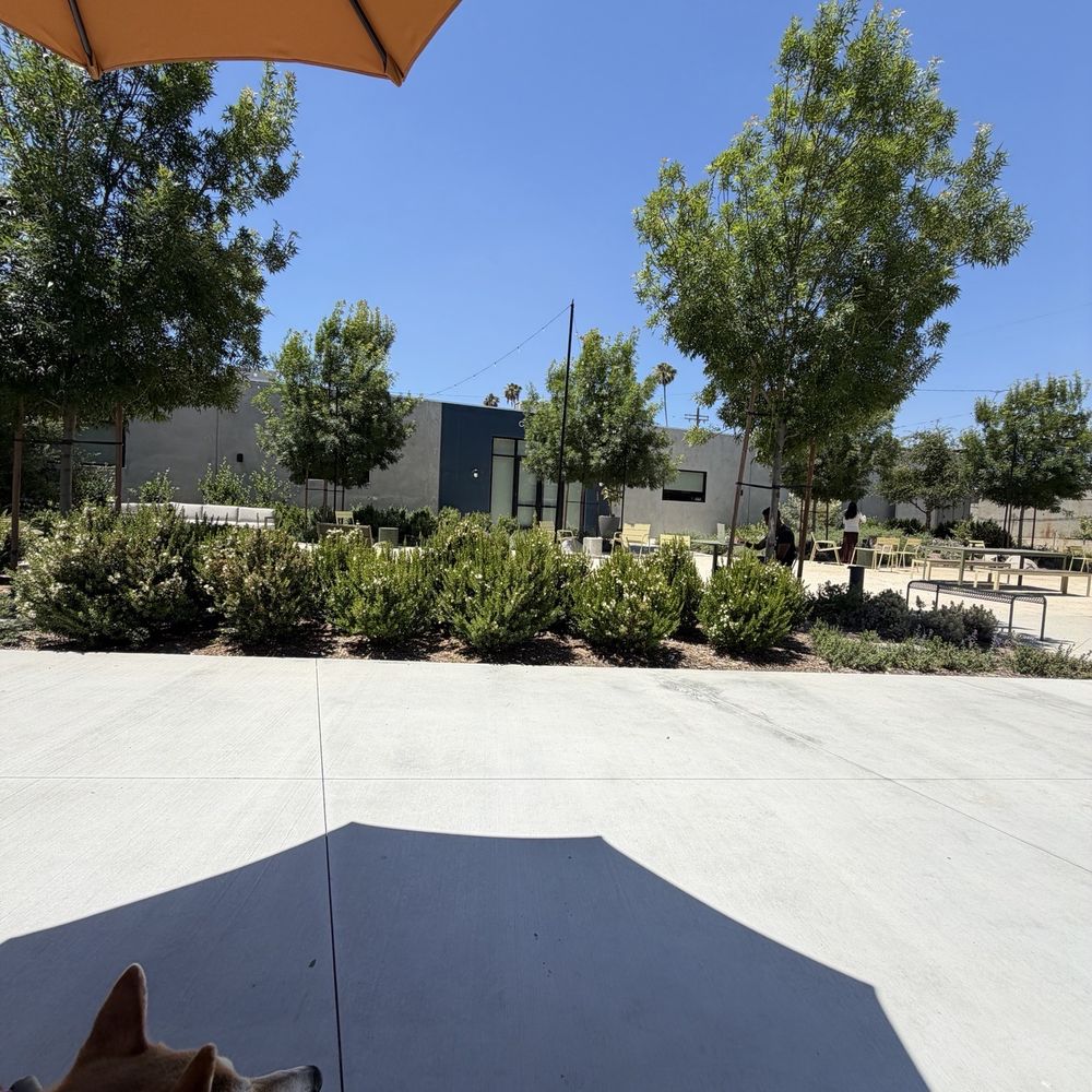 QUAT - More outdoor seating - Coffee & Tea Near Me - Los Angeles, California QUAT - More outdoor seating - Coffee & Tea Near Me - Los Angeles, California