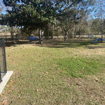 Bark Park - Small dog area - Dog Parks Near Me - Gulfport, Mississippi