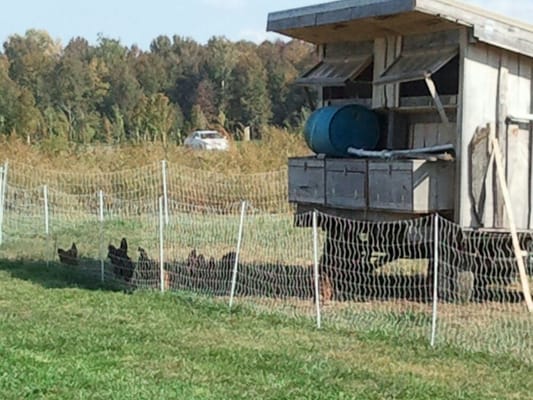 Foxhollow Farm by null