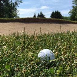 Four Seasons Golf Club