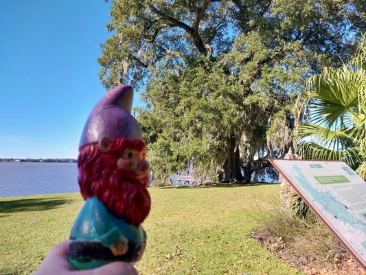 Rip Van Winkle Gardens by null