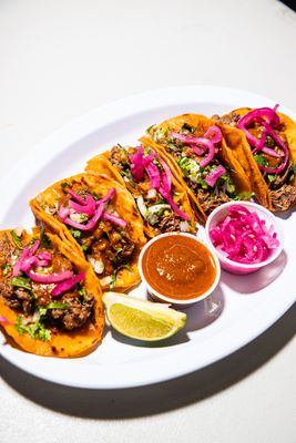 Birria Landia by null