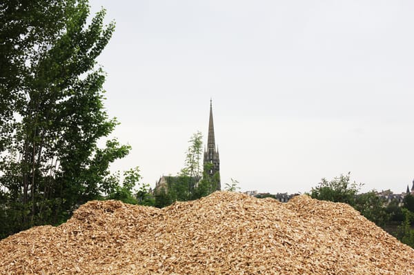 Parc aux Angéliques by null