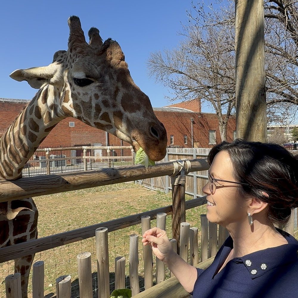 Chattanooga Zoo At Warner Park - Amusement Parks Near Me - Chattanooga, Tennessee