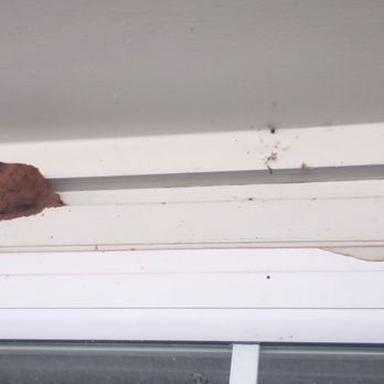 White Knight Pest Control - Pest Control Near Me - Norman, Oklahoma