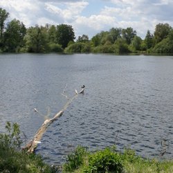 Bruchsee - Bruchsee