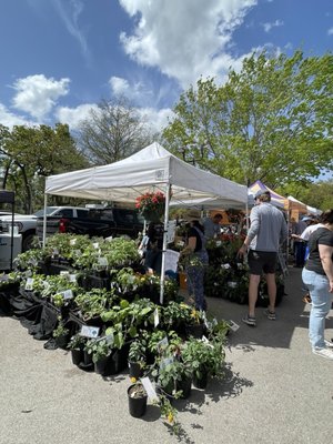 Memorial Villages Farmers Market by null