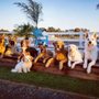 Photo of My Clever Canine Dog Training