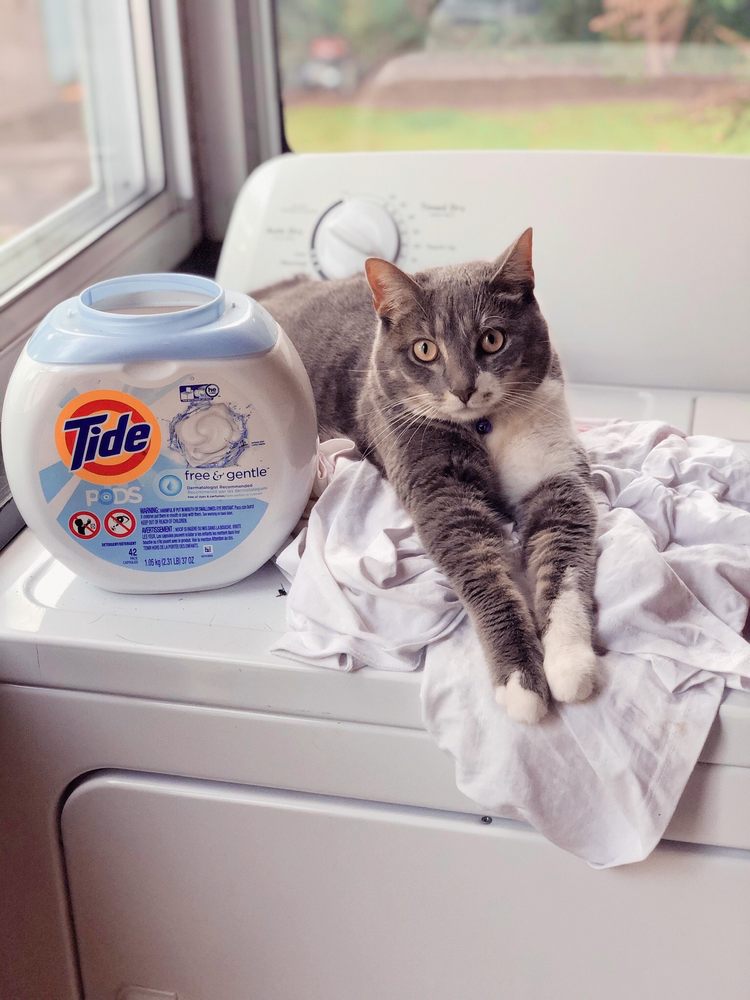 RICHMOND ANIMAL LEAGUE Updated September 2024 38 Photos & 26