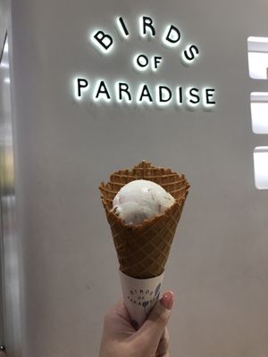 Birds of Paradise Gelato Boutique (Jewel Changi Airport) by null