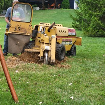 Traxler Stump Removal - Fascinating to watch grinding at work. - Tree Services Near Me Traxler Stump Removal - Fascinating to watch grinding at work. - Tree Services Near Me