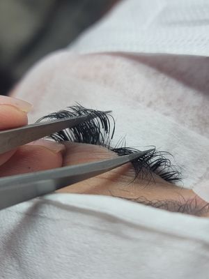 Virtue Lash by null