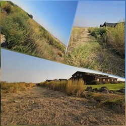 Stockman Lawncare - Weed removal