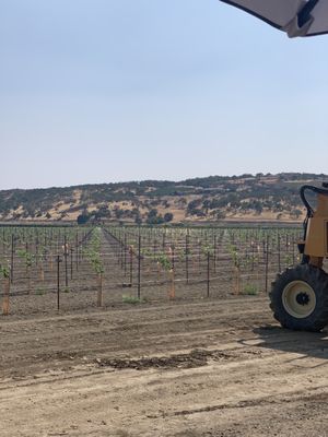Suisun Creek Winery by null