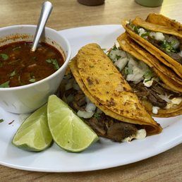Taco birria