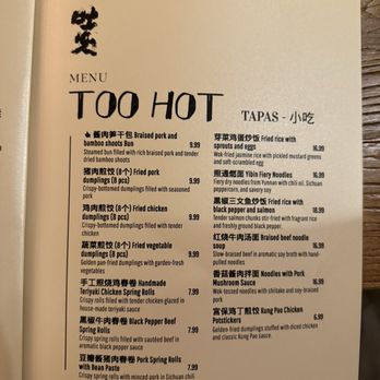 Too Hot - Menu - Menu from Too Hot restaurant displaying a variety of Asian cuisine options such as fried pork dumplings, fried chicken dumplings, fried vegetables, handmade spring rolls, and noodle dishes with prices ranging from $6.99 to $18.99. The menu includes both Chinese and Thai-inspired dishes with descriptions in English and Chinese characters, and features a small panda illustration at the top right corner. - Asian Fusion Near Me - Cambridge, Massachusetts