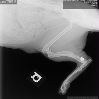 Highland Lakes Veterinary Clinic - Veterinarians Near Me - Marble Falls, Texas Highland Lakes Veterinary Clinic - Veterinarians Near Me - Marble Falls, Texas