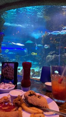 Aquarium Restaurant by null