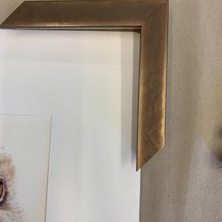 Framing Images - Here's frame I chose. This is the photo that proves my choice.