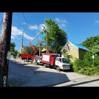 Herford's Tree Care - Tree Services Near Me - Estacada, Oregon