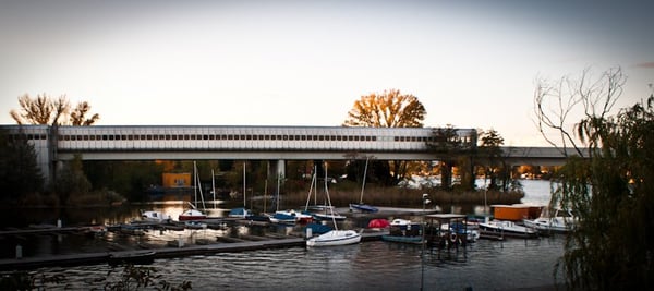 Alte Donau by null