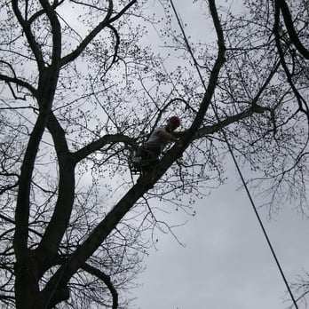 Ballard Enterprises - Tree Services Near Me Ballard Enterprises - Tree Services Near Me