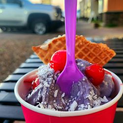 Island Frozen Yogurt Bar - Taro