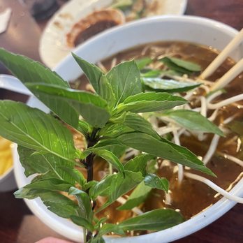 Pho City - Super fresh pho veggies!!!!! - Vietnamese Near Me - Sacramento, California Pho City - Super fresh pho veggies!!!!! - Vietnamese Near Me - Sacramento, California