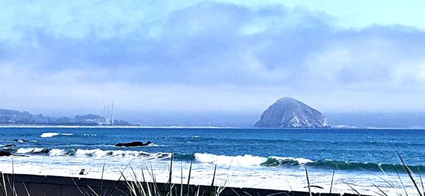 Shoreline Inn by null