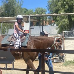 Ortega Equestrian Center