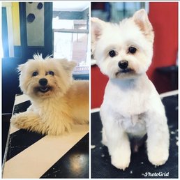 Before and after! Before and after!