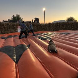 Jerry Smith Pumpkin Farm - Pumpkin Pillow