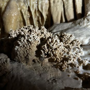 Natural Bridge Caverns - Tours Near Me - San Antonio, Texas