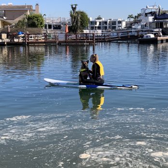 LuckyPup SoCal - Paddle boarding with Bolt. - Pet Training Near Me LuckyPup SoCal - Paddle boarding with Bolt. - Pet Training Near Me