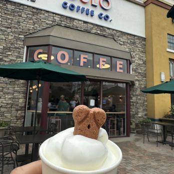 Oslo Coffee - Pup cup - Coffee & Tea Near Me - Ladera Ranch, California