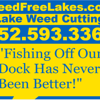 Weed Free Lakes - Landscaping Near Me - Leesburg, Florida