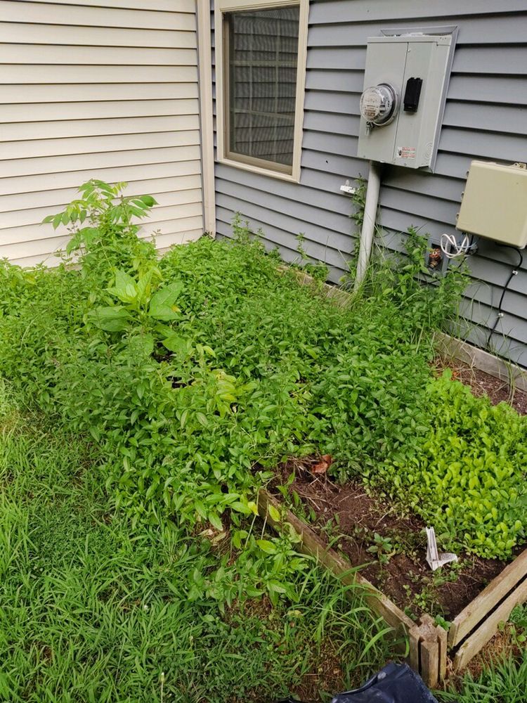 Slide of Jax’s Odds & Ends