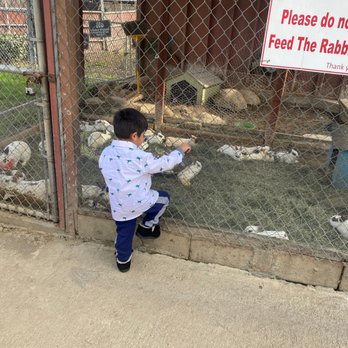 Montebello Barnyard Zoo - Petting Zoos Near Me - Montebello, California Montebello Barnyard Zoo - Petting Zoos Near Me - Montebello, California