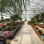 Photo of Landa's Back Porch Gardens