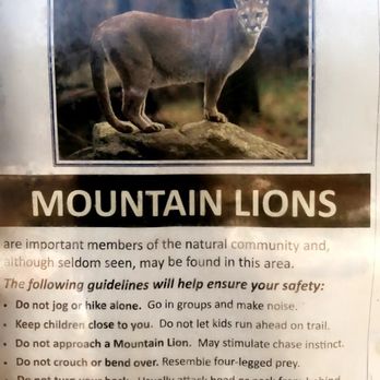 Eisenhower Park - Caution sign for mountain lions - Parks Near Me - San Antonio, Texas Eisenhower Park - Caution sign for mountain lions - Parks Near Me - San Antonio, Texas