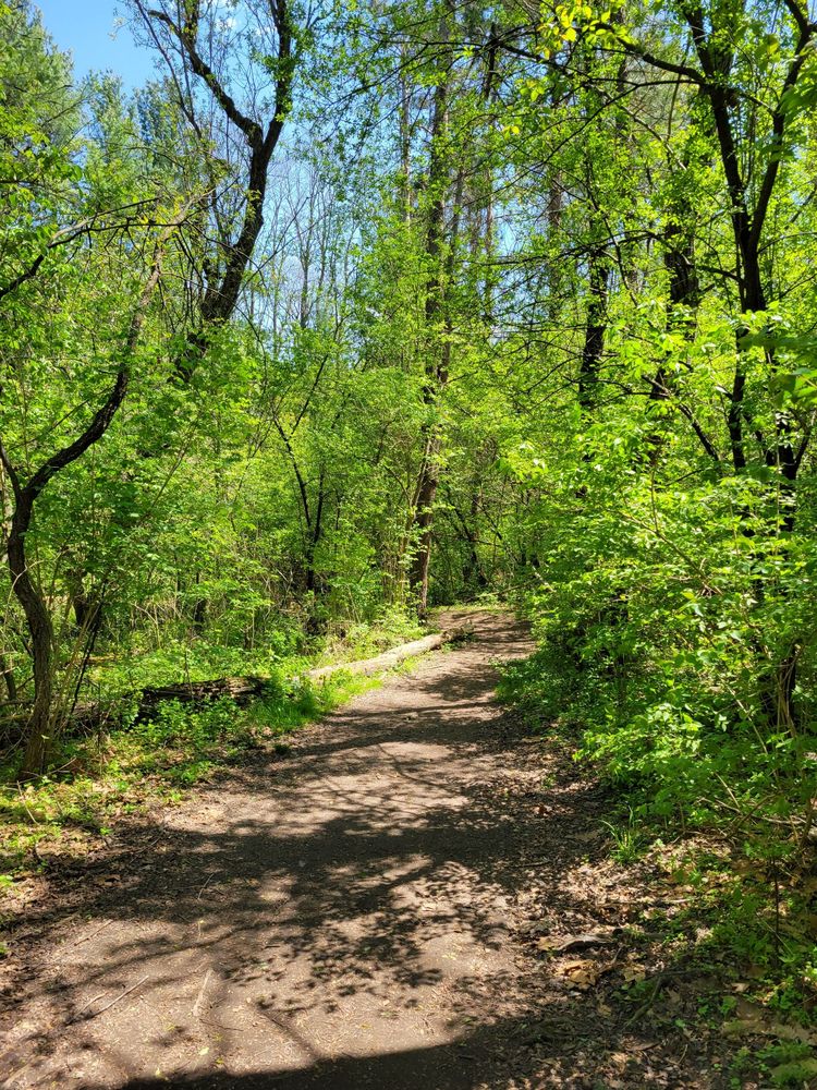 ROCK CUT STATE PARK Updated October 2024 149 Photos & 67 Reviews